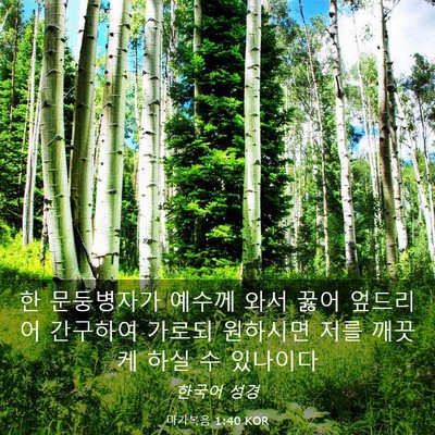 Picture 03 - 마가복음 1:40 KOR - 한 문둥병자가 예수께 와서 꿇어 - Bible Verse Picture