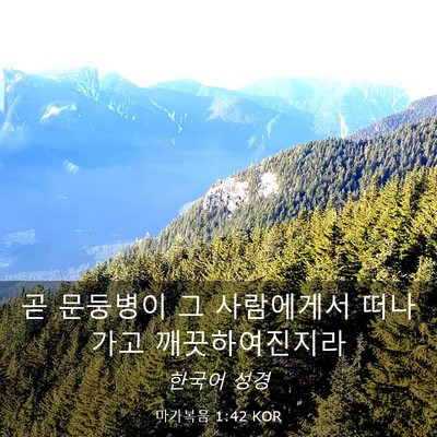 Picture 03 - 마가복음 1:42 KOR - 곧 문둥병이 그 사람에게서 떠나가고 - Bible Verse Picture