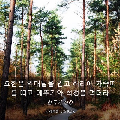 Picture 03 - 마가복음 1:6 KOR - 요한은 약대털을 입고 허리에 - Bible Verse Picture