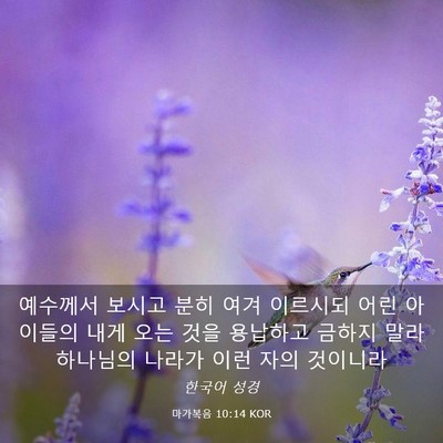 Picture 03 - 마가복음 10:14 KOR - 예수께서 보시고 분히 여겨 이르시되 - Bible Verse Picture