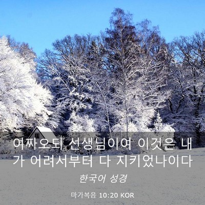 Picture 03 - 마가복음 10:20 KOR - 여짜오되 선생님이여 이것은 내가 - Bible Verse Picture