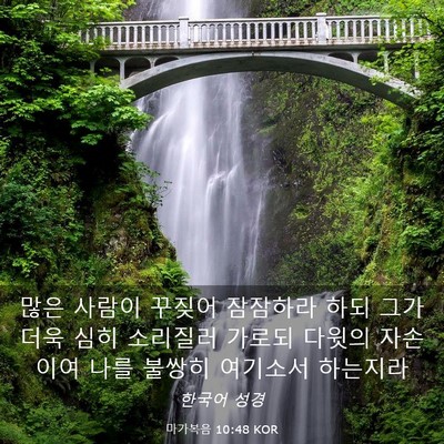 Picture 03 - 마가복음 10:48 KOR - 많은 사람이 꾸짖어 잠잠하라 하되 - Bible Verse Picture