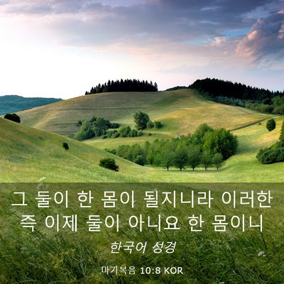 Picture 03 - 마가복음 10:8 KOR - 그 둘이 한 몸이 될지니라 이러한즉 - Bible Verse Picture