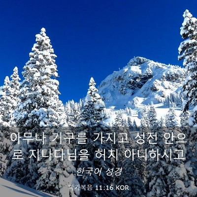 Picture 03 - 마가복음 11:16 KOR - 아무나 기구를 가지고 성전 안으로 - Bible Verse Picture
