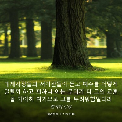 Picture 03 - 마가복음 11:18 KOR - 대제사장들과 서기관들이 듣고 - Bible Verse Picture