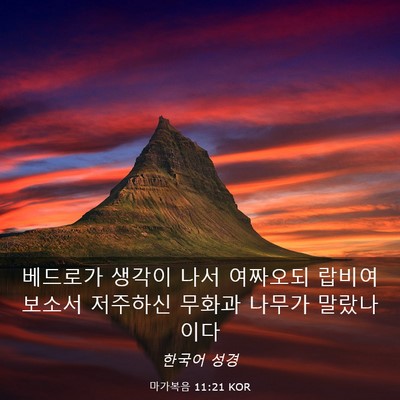 Picture 03 - 마가복음 11:21 KOR - 베드로가 생각이 나서 여짜오되 - Bible Verse Picture