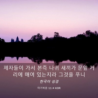 Picture 03 - 마가복음 11:4 KOR - 제자들이 가서 본즉 나귀 새끼가 - Bible Verse Picture