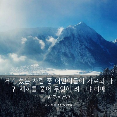 Picture 03 - 마가복음 11:5 KOR - 거기 섰는 사람 중 어떤이들이 - Bible Verse Picture
