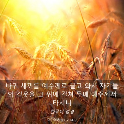 Picture 03 - 마가복음 11:7 KOR - 나귀 새끼를 예수께로 끌고 와서 - Bible Verse Picture