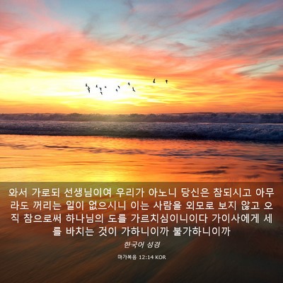 Picture 03 - 마가복음 12:14 KOR - 와서 가로되 선생님이여 우리가 - Bible Verse Picture