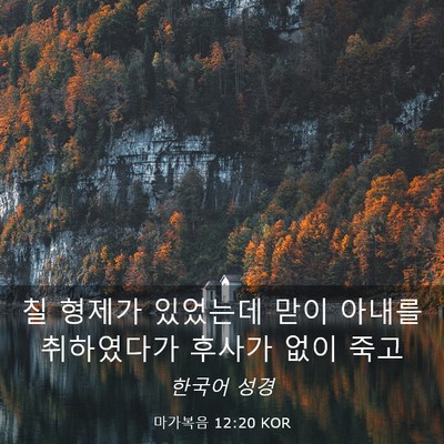 Picture 03 - 마가복음 12:20 KOR - 칠 형제가 있었는데 맏이 아내를 - Bible Verse Picture
