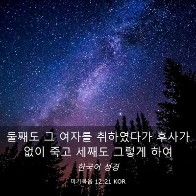 Picture 03 - 마가복음 12:21 KOR - 둘째도 그 여자를 취하였다가 후사가 - Bible Verse Picture