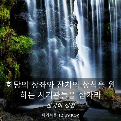 Picture 03 - 마가복음 12:39 KOR - 회당의 상좌와 잔치의 상석을 원하는 - Bible Verse Picture
