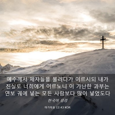 Picture 03 - 마가복음 12:43 KOR - 예수께서 제자들을 불러다가 - Bible Verse Picture