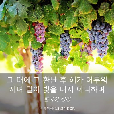 Picture 03 - 마가복음 13:24 KOR - 그 때에 그 환난 후 해가 어두워지며 - Bible Verse Picture