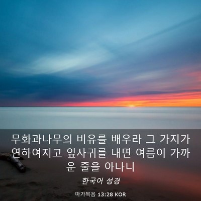 Picture 03 - 마가복음 13:28 KOR - 무화과나무의 비유를 배우라 그 - Bible Verse Picture