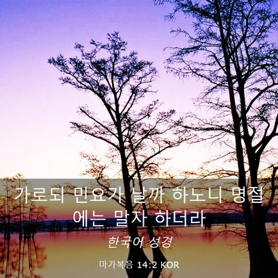 Picture 03 - 마가복음 14:2 KOR - 가로되 민요가 날까 하노니 명절에는 - Bible Verse Picture