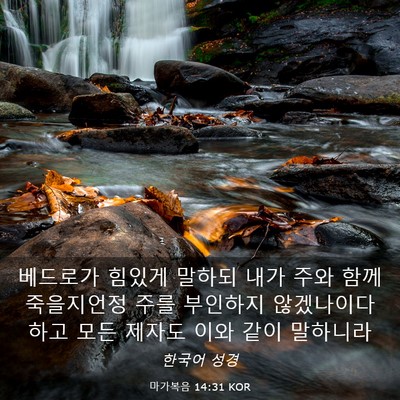 Picture 03 - 마가복음 14:31 KOR - 베드로가 힘있게 말하되 내가 주와 - Bible Verse Picture
