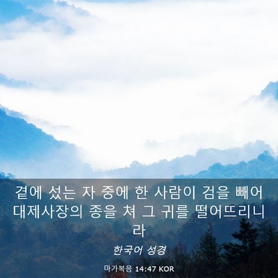 Picture 03 - 마가복음 14:47 KOR - 곁에 섰는 자 중에 한 사람이 검을 - Bible Verse Picture