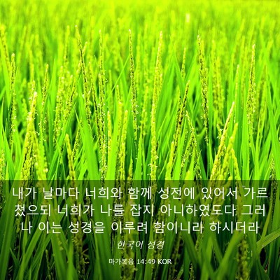 Picture 03 - 마가복음 14:49 KOR - 내가 날마다 너희와 함께 성전에 - Bible Verse Picture