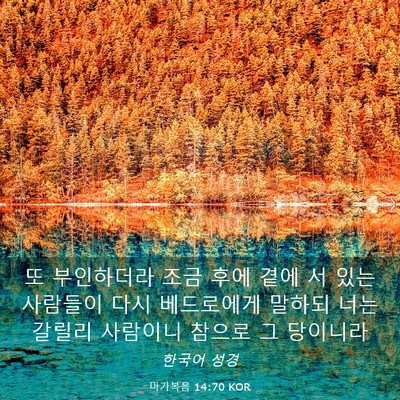 Picture 03 - 마가복음 14:70 KOR - 또 부인하더라 조금 후에 곁에 서 - Bible Verse Picture