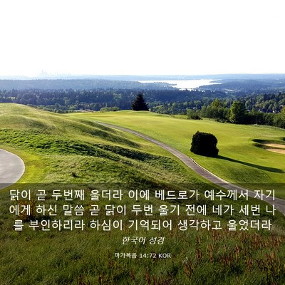 Picture 03 - 마가복음 14:72 KOR - 닭이 곧 두번째 울더라 이에 - Bible Verse Picture