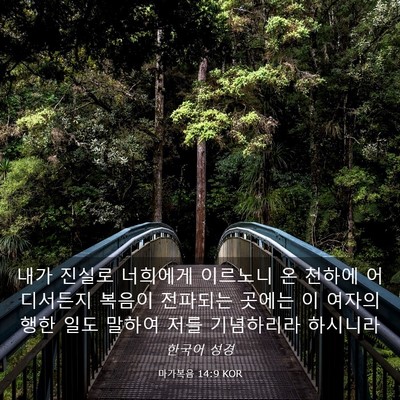 Picture 03 - 마가복음 14:9 KOR - 내가 진실로 너희에게 이르노니 온 - Bible Verse Picture