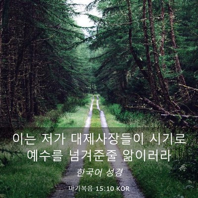Picture 03 - 마가복음 15:10 KOR - 이는 저가 대제사장들이 시기로 - Bible Verse Picture