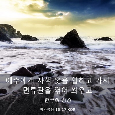 Picture 03 - 마가복음 15:17 KOR - 예수에게 자색 옷을 입히고 가시 - Bible Verse Picture