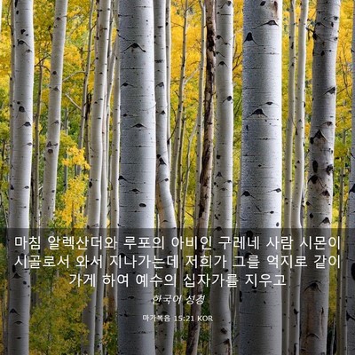 Picture 03 - 마가복음 15:21 KOR - 마침 알렉산더와 루포의 아비인 - Bible Verse Picture