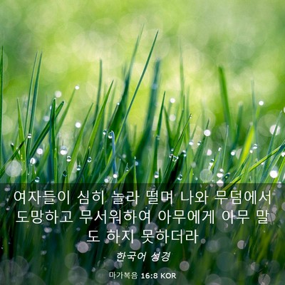 Picture 03 - 마가복음 16:8 KOR - 여자들이 심히 놀라 떨며 나와 - Bible Verse Picture