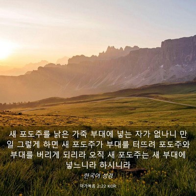 Picture 03 - 마가복음 2:22 KOR - 새 포도주를 낡은 가죽 부대에 넣는 - Bible Verse Picture