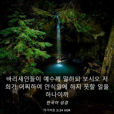Picture 03 - 마가복음 2:24 KOR - 바리새인들이 예수께 말하되 보시오 - Bible Verse Picture