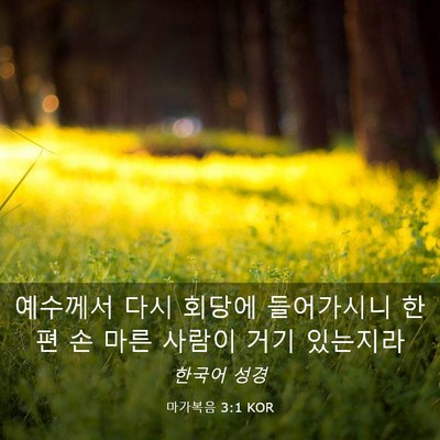 Picture 03 - 마가복음 3:1 KOR - 예수께서 다시 회당에 들어가시니 - Bible Verse Picture