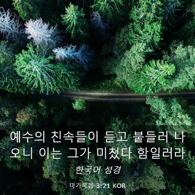 Picture 03 - 마가복음 3:21 KOR - 예수의 친속들이 듣고 붙들러 나오니 - Bible Verse Picture