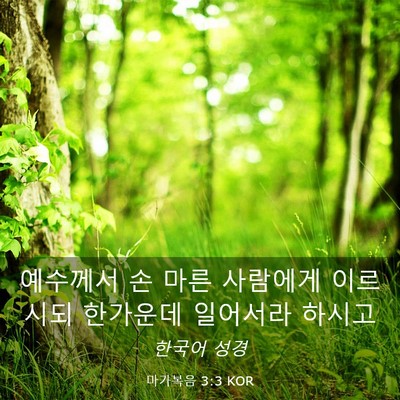 Picture 03 - 마가복음 3:3 KOR - 예수께서 손 마른 사람에게 이르시되 - Bible Verse Picture