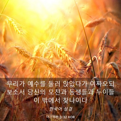 Picture 03 - 마가복음 3:32 KOR - 무리가 예수를 둘러 앉았다가 - Bible Verse Picture