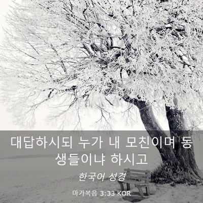 Picture 03 - 마가복음 3:33 KOR - 대답하시되 누가 내 모친이며 - Bible Verse Picture