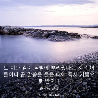 Picture 03 - 마가복음 4:16 KOR - 또 이와 같이 돌밭에 뿌리웠다는 - Bible Verse Picture