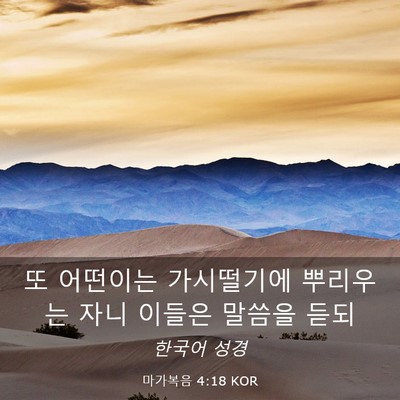 Picture 03 - 마가복음 4:18 KOR - 또 어떤이는 가시떨기에 뿌리우는 - Bible Verse Picture