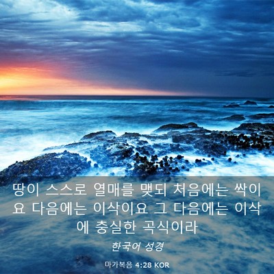 Picture 03 - 마가복음 4:28 KOR - 땅이 스스로 열매를 맺되 처음에는 - Bible Verse Picture
