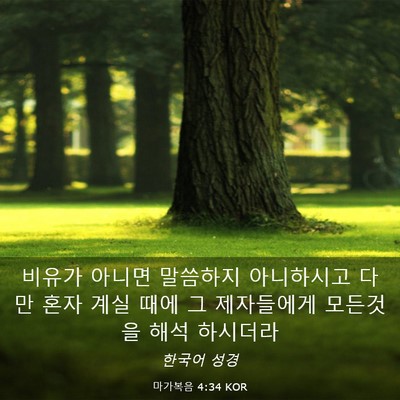 Picture 03 - 마가복음 4:34 KOR - 비유가 아니면 말씀하지 아니하시고 - Bible Verse Picture