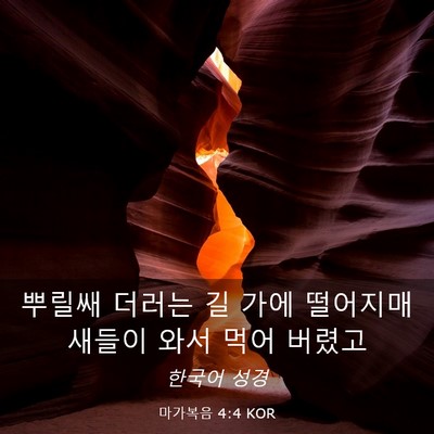 Picture 03 - 마가복음 4:4 KOR - 뿌릴쌔 더러는 길 가에 떨어지매 - Bible Verse Picture
