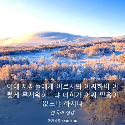 Picture 03 - 마가복음 4:40 KOR - 이에 제자들에게 이르시되 어찌하여 - Bible Verse Picture