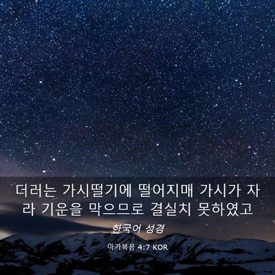 Picture 03 - 마가복음 4:7 KOR - 더러는 가시떨기에 떨어지매 가시가 - Bible Verse Picture