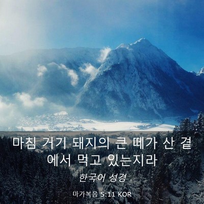 Picture 03 - 마가복음 5:11 KOR - 마침 거기 돼지의 큰 떼가 산 곁에서 - Bible Verse Picture