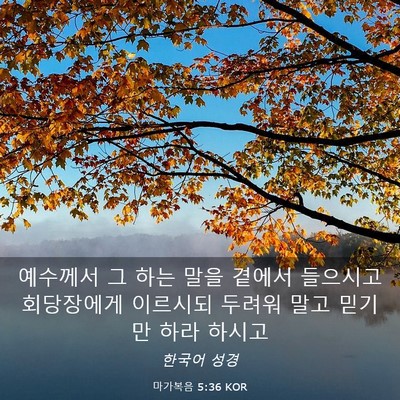 Picture 03 - 마가복음 5:36 KOR - 예수께서 그 하는 말을 곁에서 - Bible Verse Picture