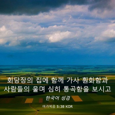 Picture 03 - 마가복음 5:38 KOR - 회당장의 집에 함께 가사 훤화함과 - Bible Verse Picture