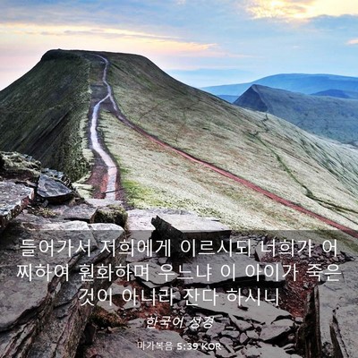 Picture 03 - 마가복음 5:39 KOR - 들어가서 저희에게 이르시되 너희가 - Bible Verse Picture
