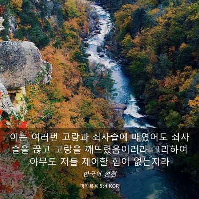 Picture 03 - 마가복음 5:4 KOR - 이는 여러번 고랑과 쇠사슬에 - Bible Verse Picture
